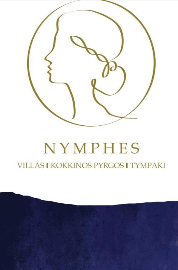 Dione Villa Kokkinos Pyrgos Exterior foto